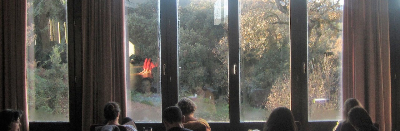 Propòsits d’any nou