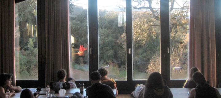 Propòsits d’any nou